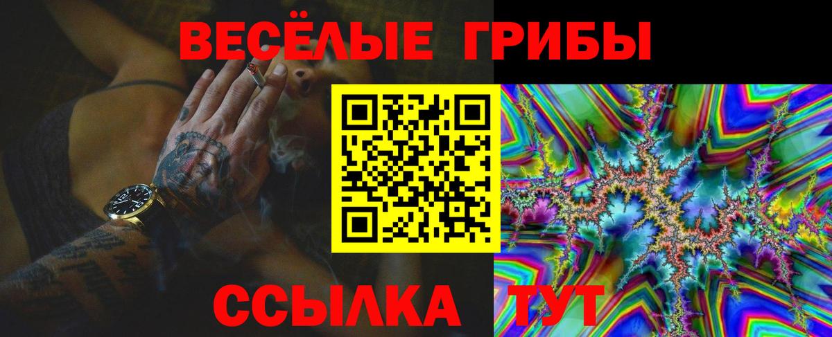 Псилоцибиновые грибы прущие грибы Бутурлиновка