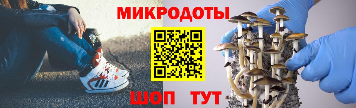 Галлюциногенные грибы Cubensis  Галлюциногенные грибы Psilocybine cubensis  Бутурлиновка  Вход с VPN 